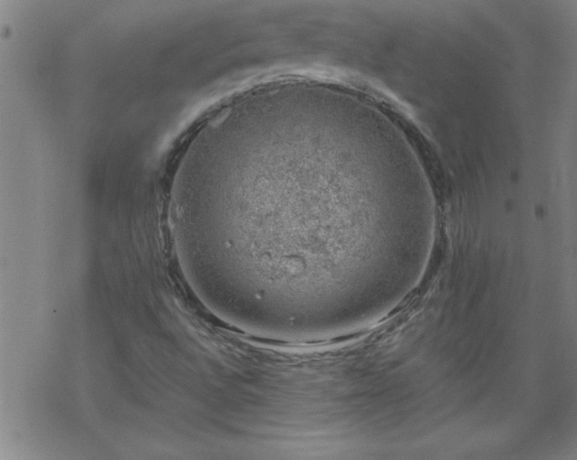 X0000068901496200605122046