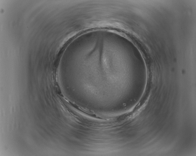 X0000068901497200605122046