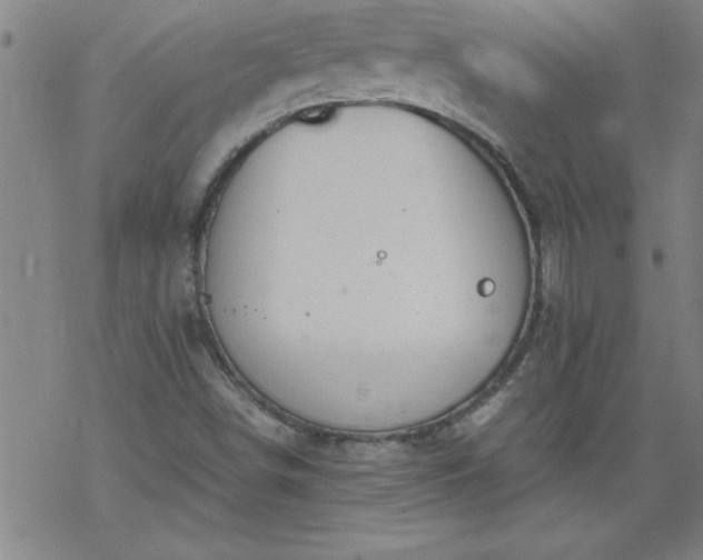 X0000068901498200605122046