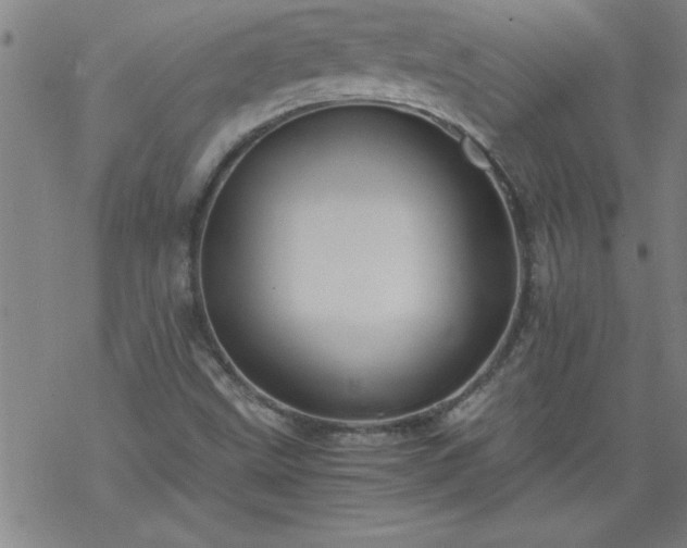 X0000068901499200605122046