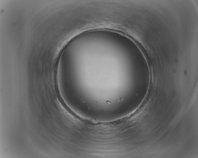 X0000068901500200605122046