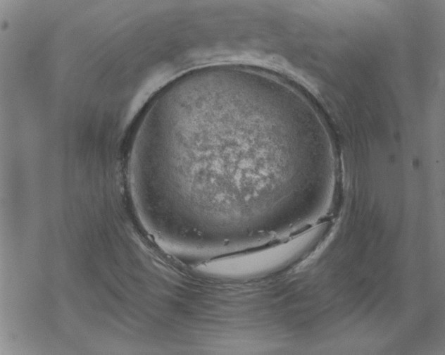 X0000068901501200605122046