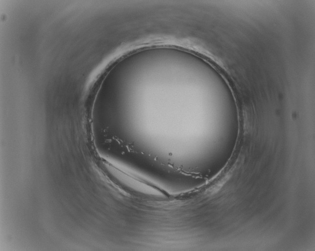 X0000068901502200605122046