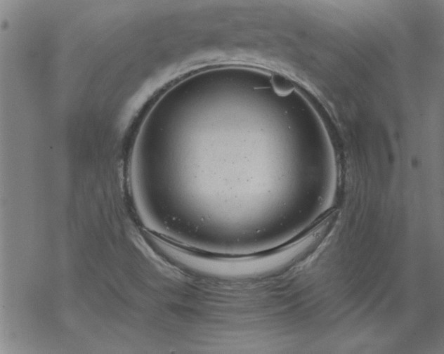 X0000068901503200605122046