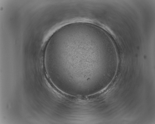 X0000068901504200605122046