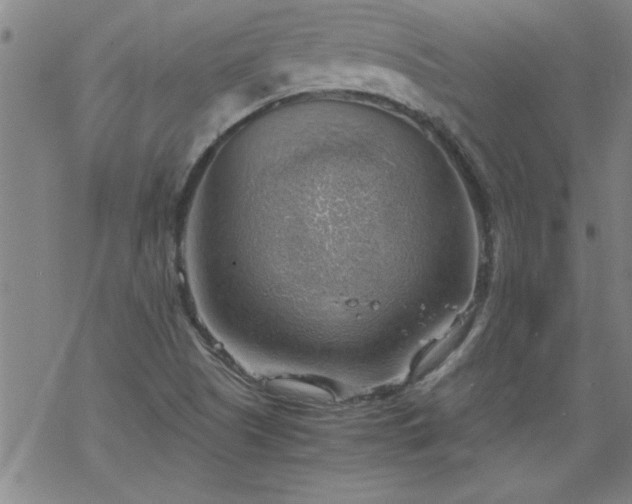 X0000068901505200605122046