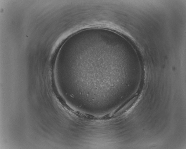 X0000068901506200605122046