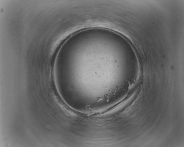 X0000068901507200605122046