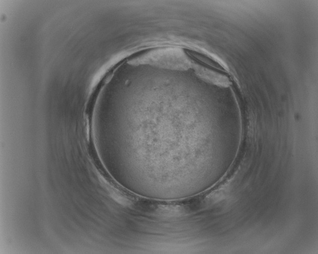 X0000068901509200605122047