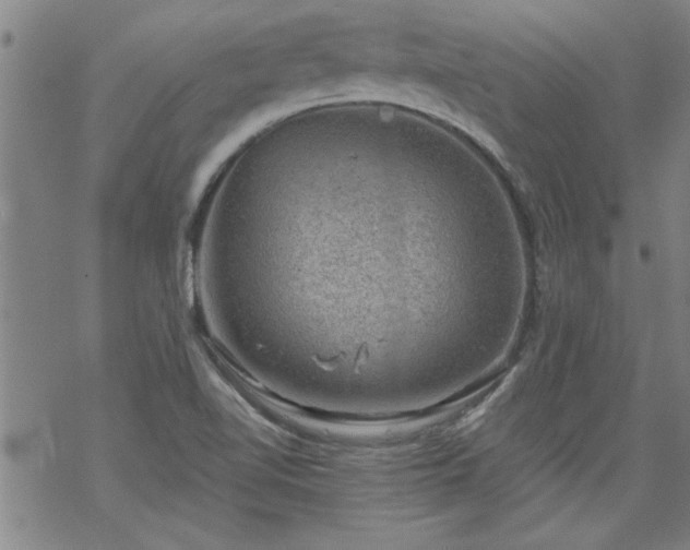 X0000068901510200605122047