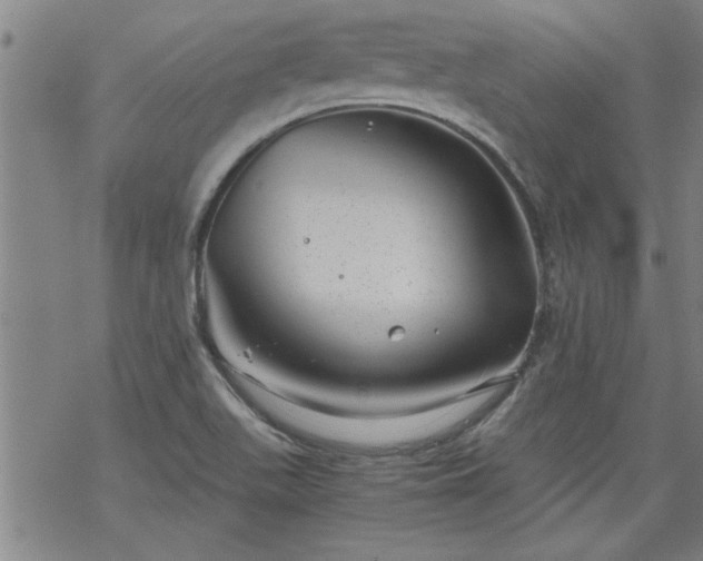 X0000068901511200605122047