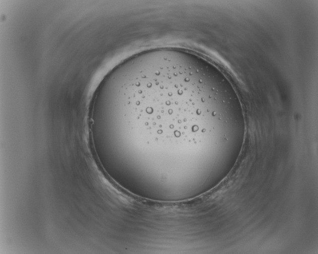 X0000068901512200605122047