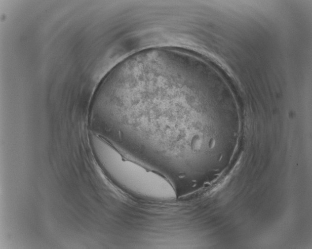 X0000068901513200605122047