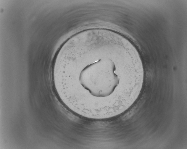 X0000068901514200605122047