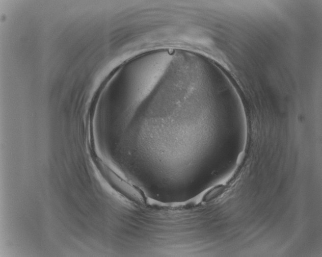 X0000068901515200605122047