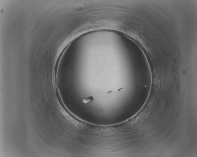 X0000068901516200605122047