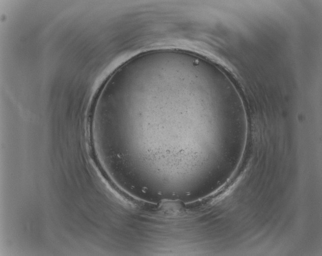 X0000068901517200605122047