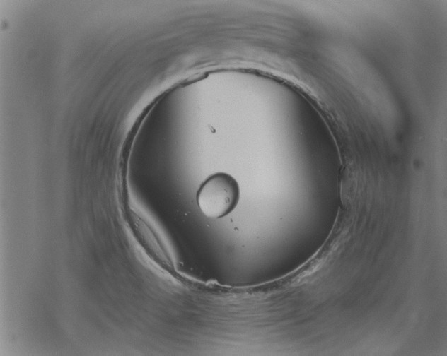 X0000068901518200605122047