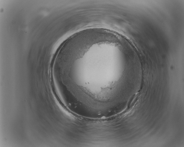 X0000068901519200605122047