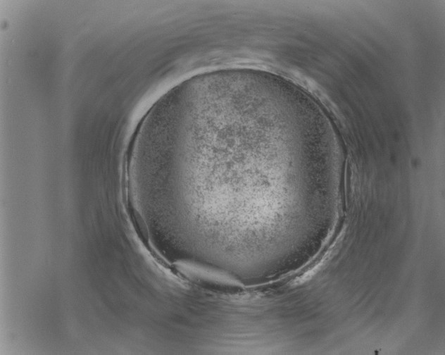 X0000068901520200605122047