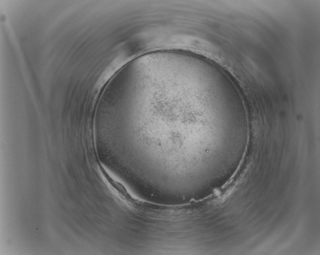 X0000068901521200605122047