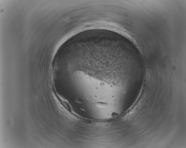 X0000068901522200605122047