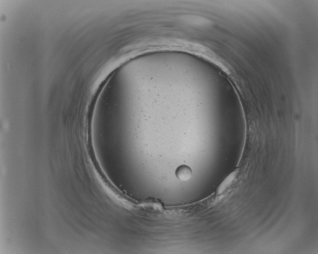 X0000068901523200605122047