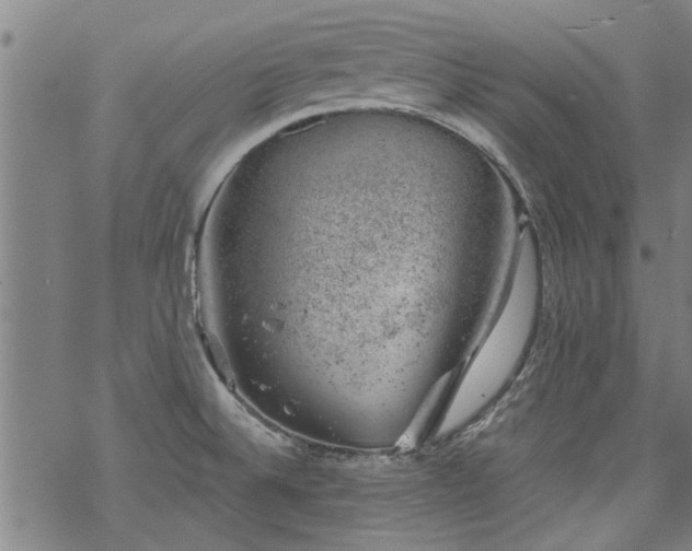 X0000068901524200605122047