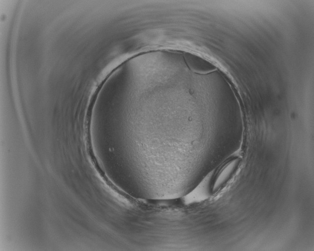 X0000068901525200605122047