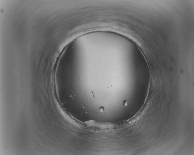 X0000068901526200605122047