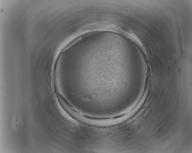 X0000068901528200605122047