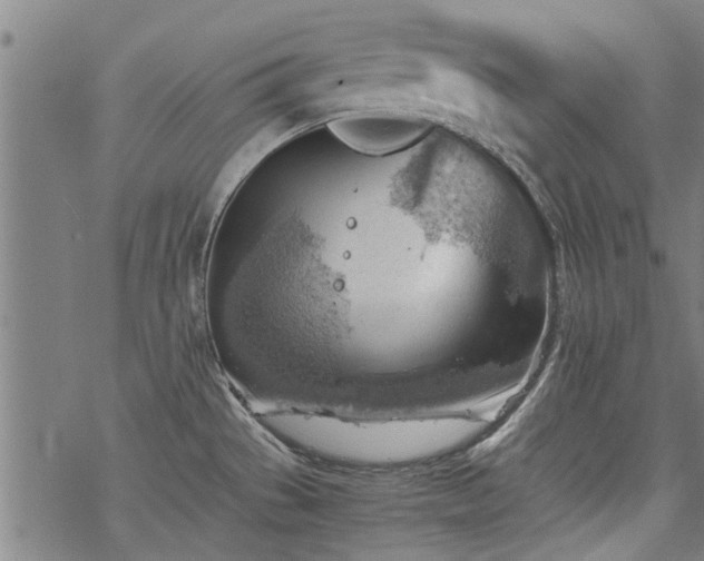 X0000068901529200605122047