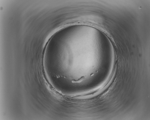 X0000068901530200605122047