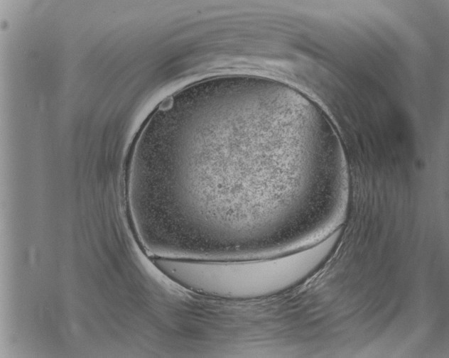 X0000068901531200605122047