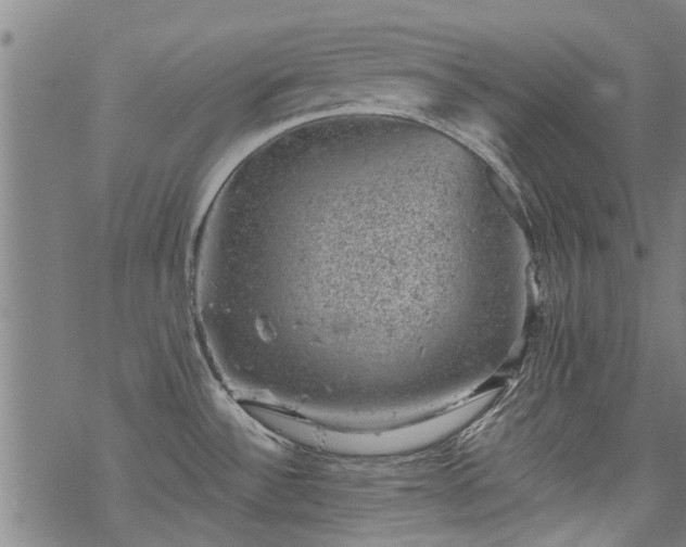 X0000068901532200605122047