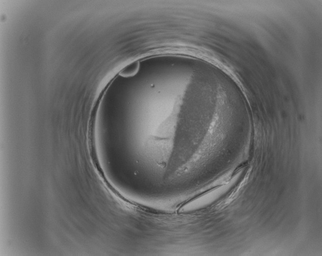 X0000068901533200605122047