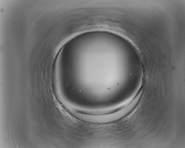 X0000068901534200605122047