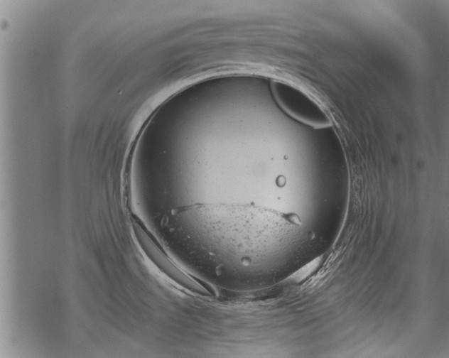 X0000068901535200605122047