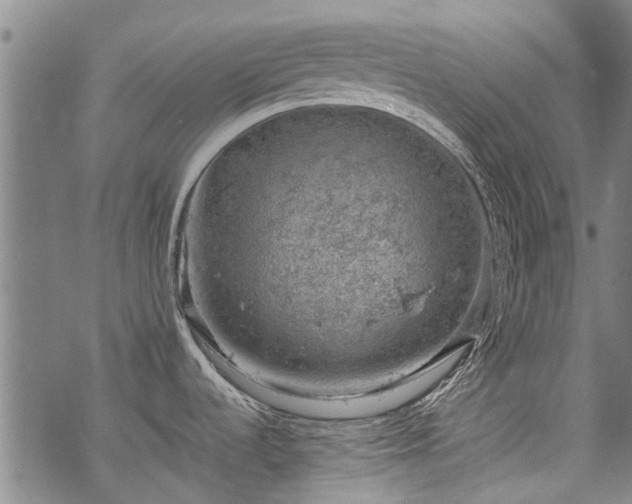 X0000068901536200605122047