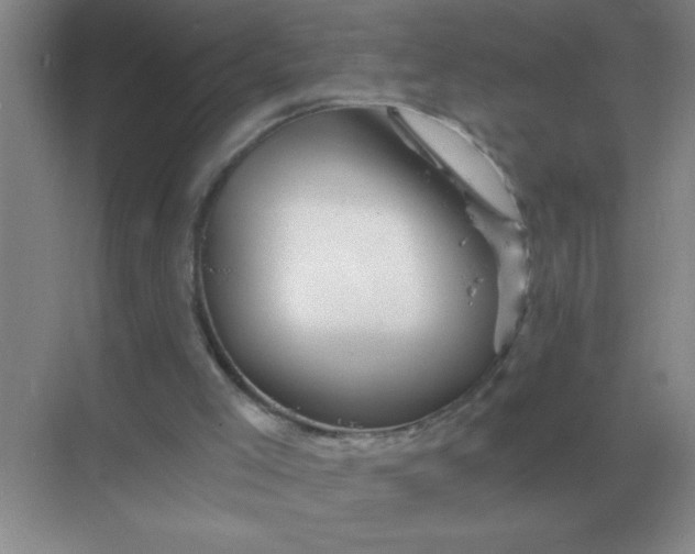 X0000068900005200605192213
