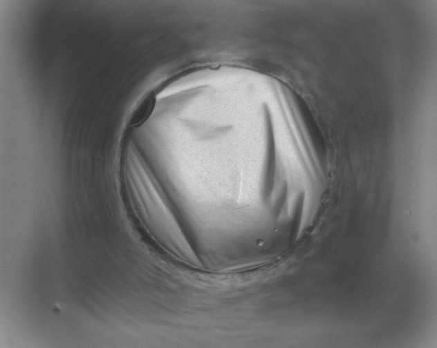 X0000068900006200605192213