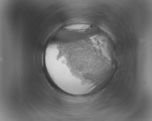 X0000068900014200605192213