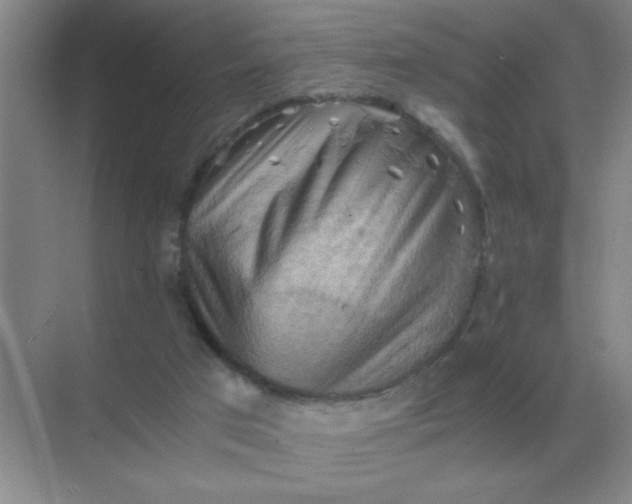 X0000068900017200605192212
