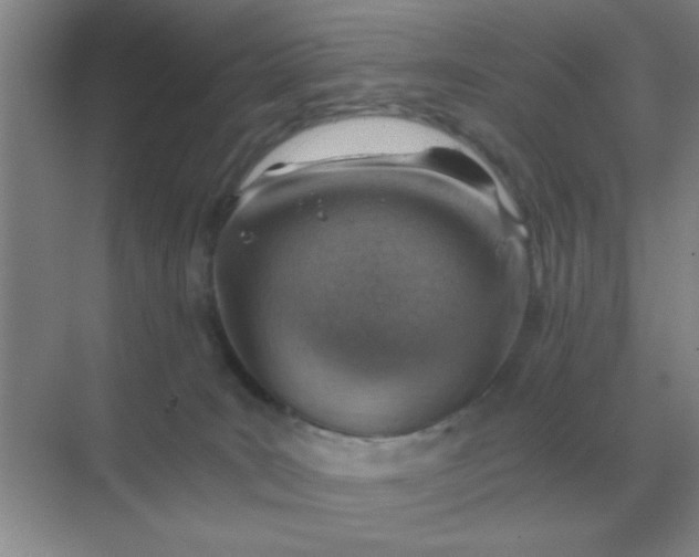 X0000068900035200605192212