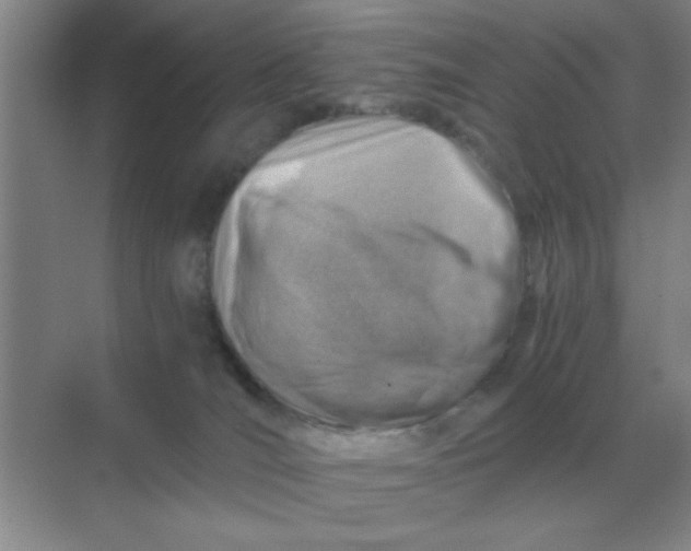 X0000068900036200605192212
