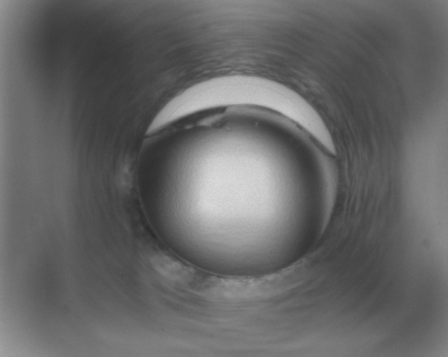 X0000068900037200605192212