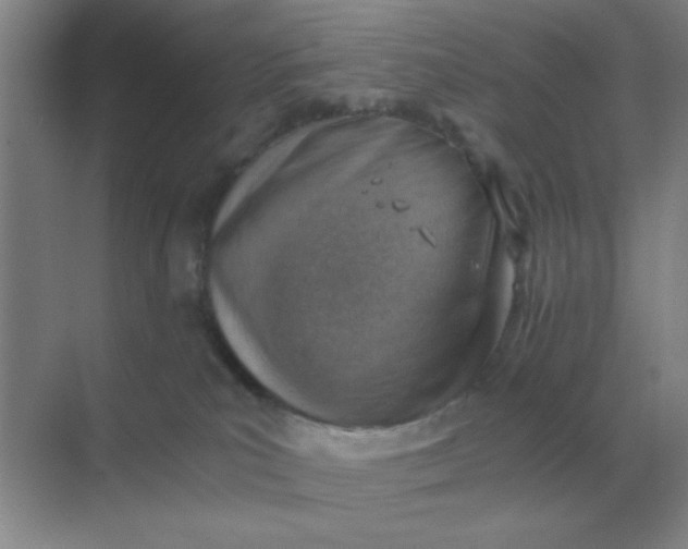 X0000068900039200605192212