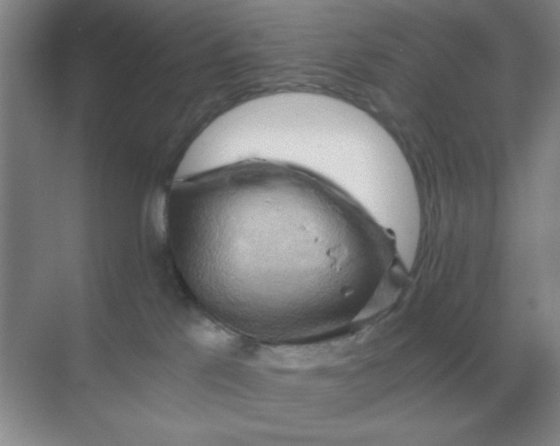 X0000068900041200605192212