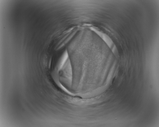 X0000068900043200605192212