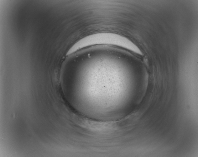 X0000068900044200605192212